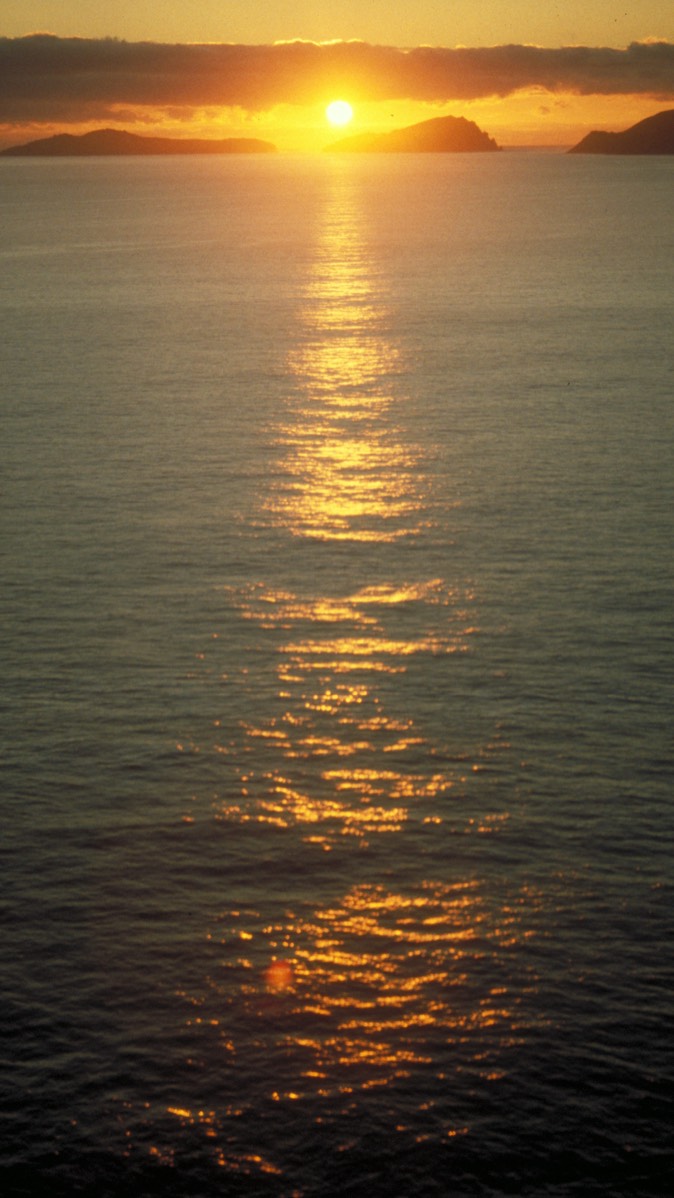 Stacks Image 112